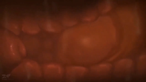 hentai sex - Hậu trường cuộc mây mưa