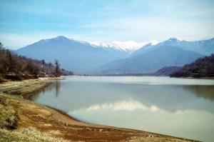 image-8fda8156cb186764c31783a2098baddd451db955fd227814b094411d34d48a8e-v