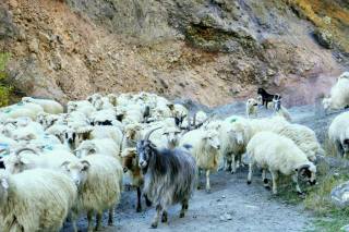 Trusoschlucht: Raue, berührende Natur