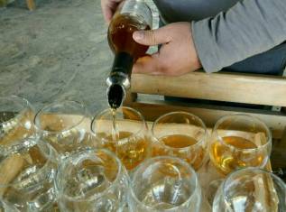 wein bropieren beim winzer