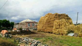 Grosser Strohvorrat für den Winter in Südgeorgien