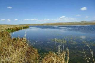 nationalpark javakheti